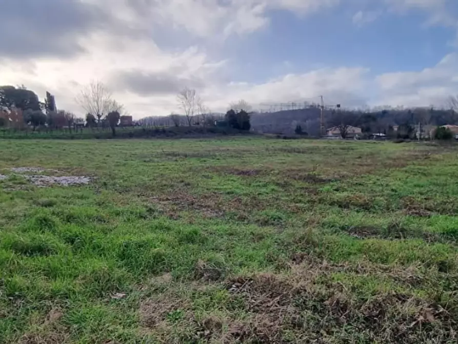 Immagine 1 di Terreno residenziale in vendita  a Fauglia