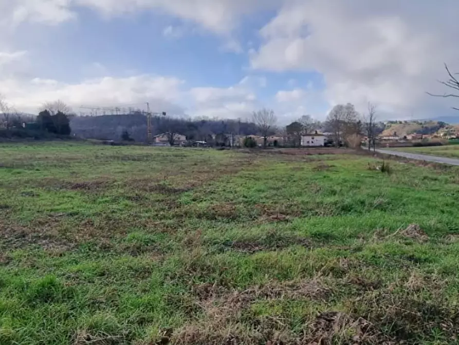 Immagine 2 di Terreno residenziale in vendita  a Fauglia
