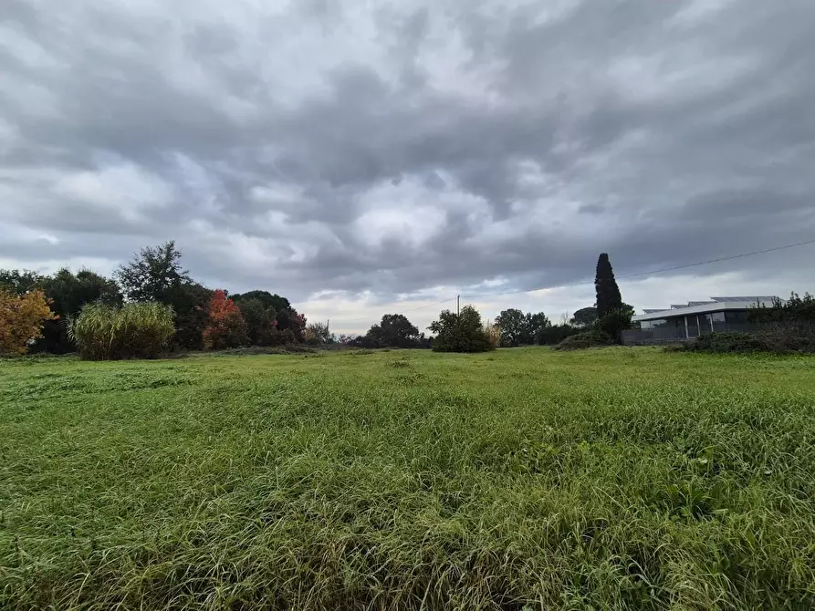 Immagine 4 di Terreno residenziale in vendita  a Fucecchio