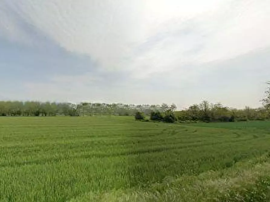 Immagine 1 di Terreno agricolo in vendita  a Castelfranco Di Sotto