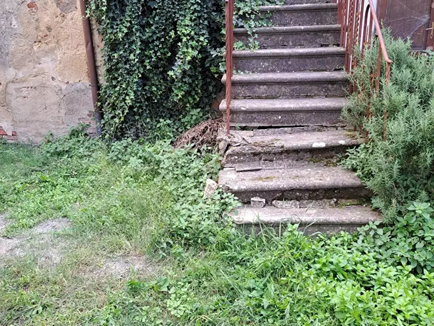 Immagine 12 di Appartamento in vendita  a Casciana Terme Lari