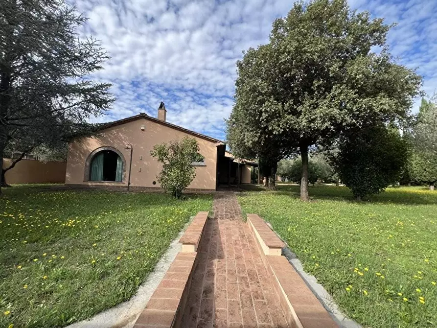 Immagine 26 di Villa in vendita  a Cecina