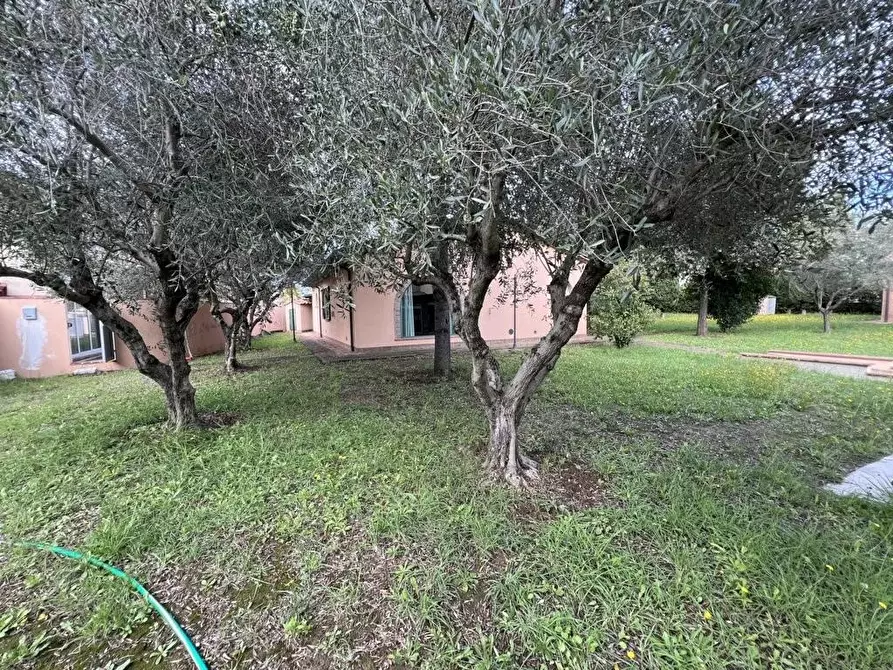 Immagine 24 di Villa in vendita  a Cecina