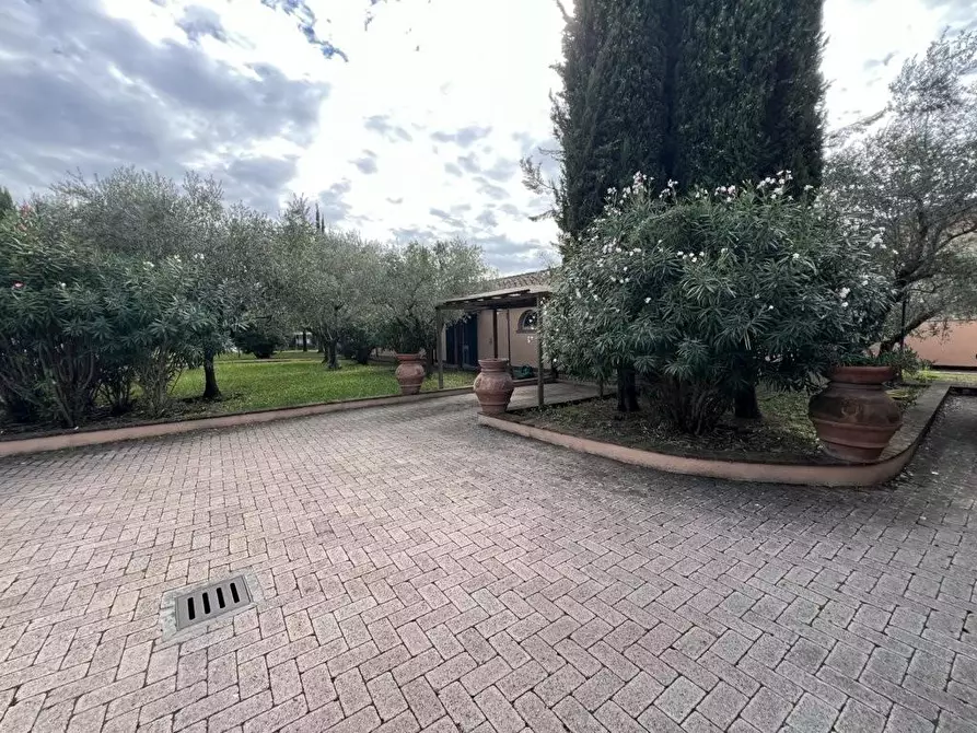 Immagine 20 di Villa in vendita  a Cecina