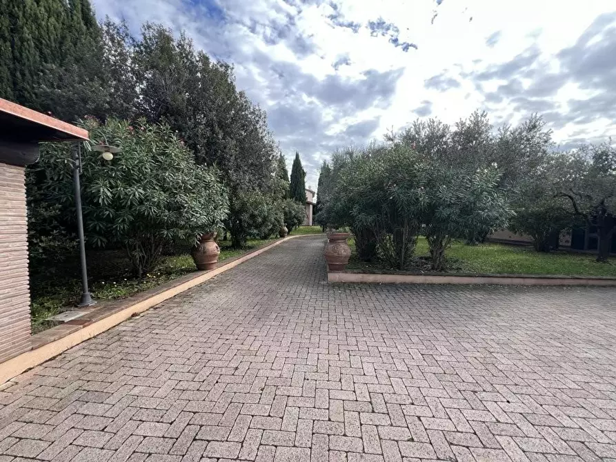 Immagine 19 di Villa in vendita  a Cecina