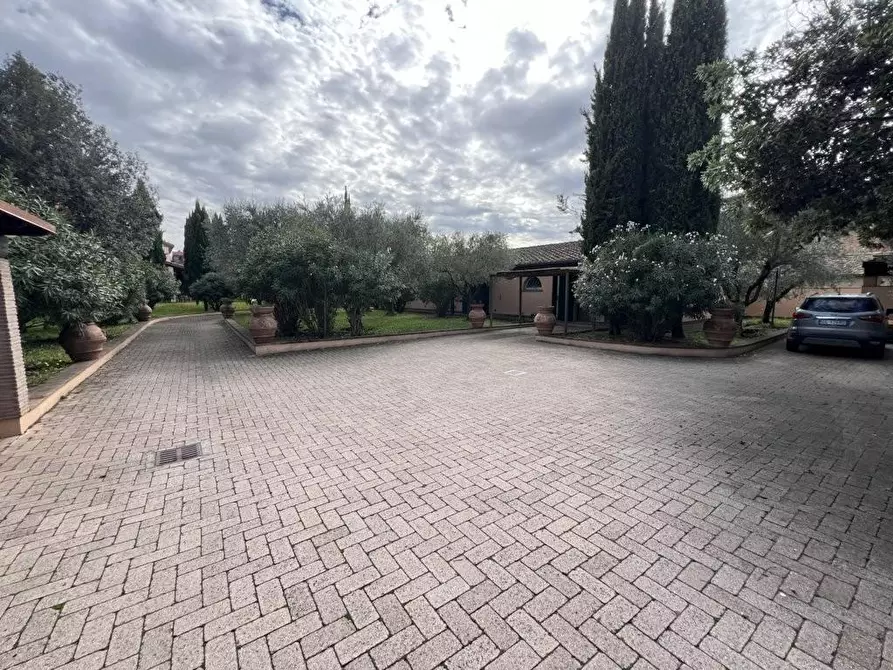 Immagine 21 di Villa in vendita  a Cecina