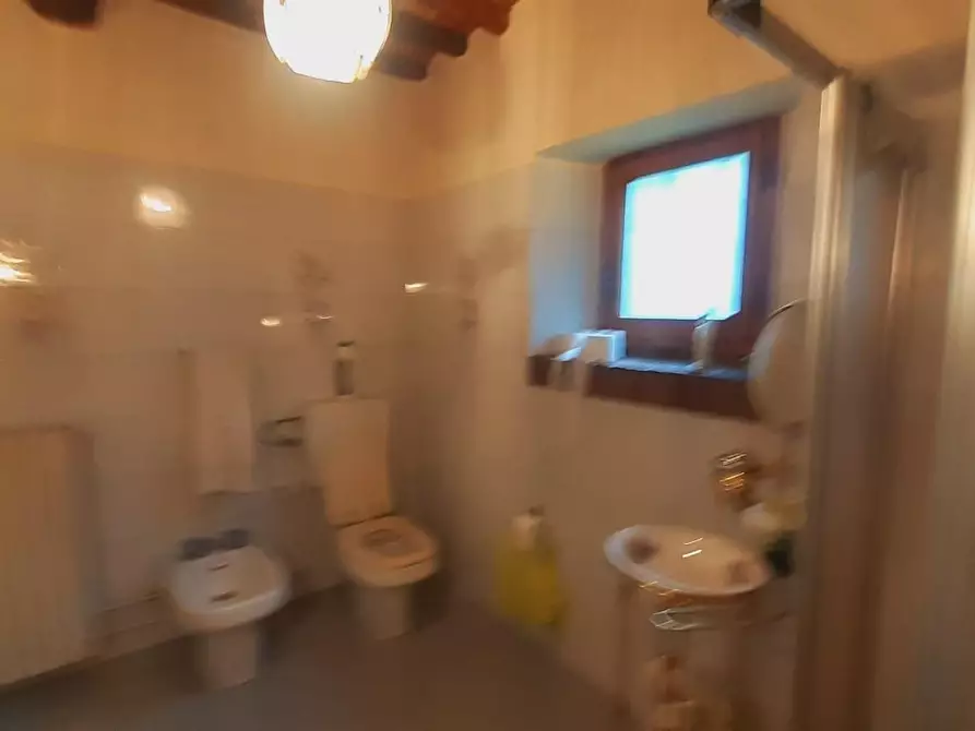 Immagine 22 di Rustico / casale in vendita  a Massa E Cozzile