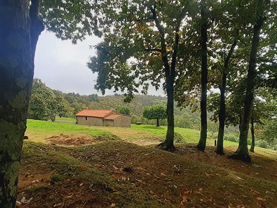 Immagine 46 di Rustico / casale in vendita  a Massa E Cozzile