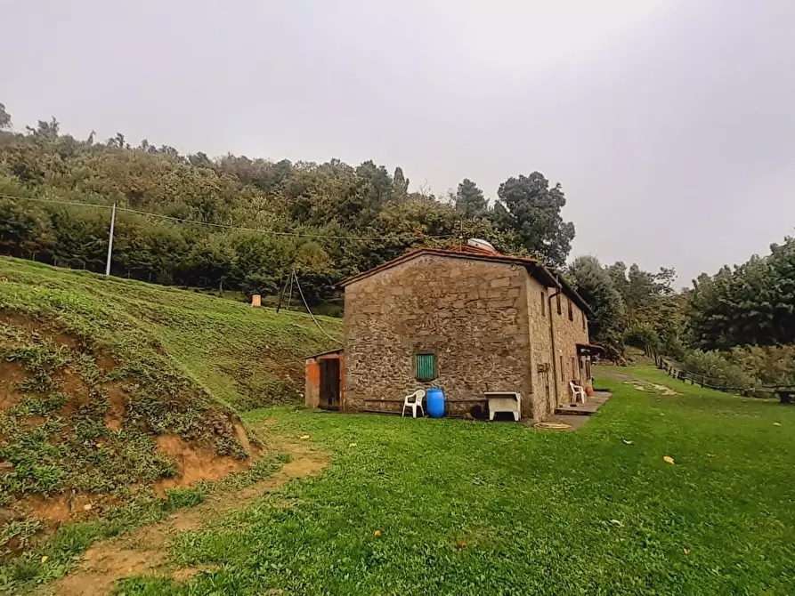 Immagine 27 di Rustico / casale in vendita  a Massa E Cozzile