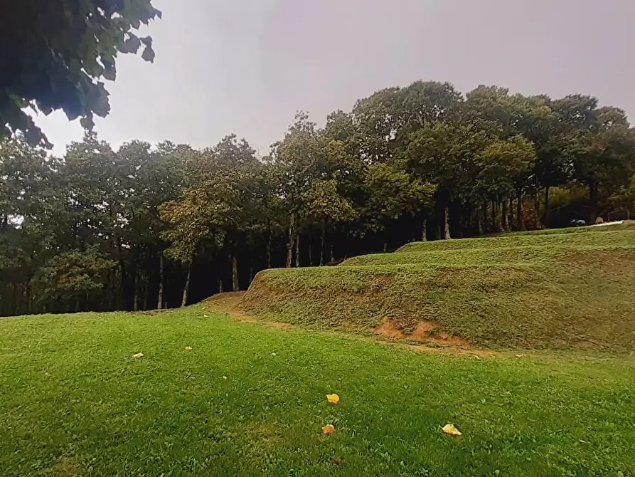 Immagine 25 di Rustico / casale in vendita  a Massa E Cozzile