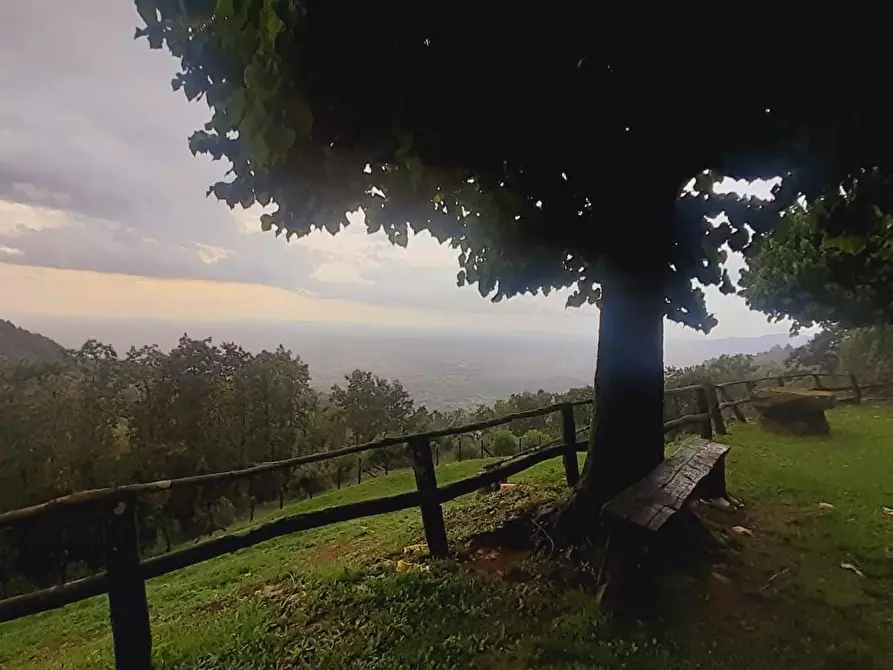 Immagine 38 di Rustico / casale in vendita  a Massa E Cozzile