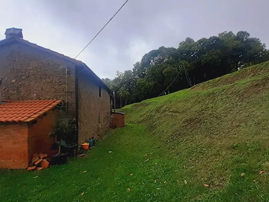 Immagine 33 di Rustico / casale in vendita  a Massa E Cozzile