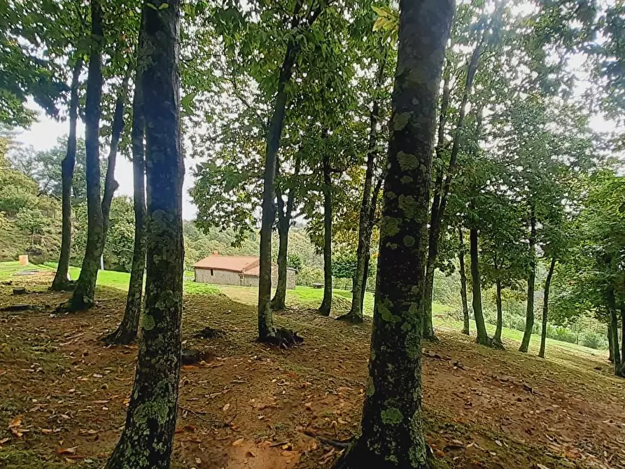 Immagine 45 di Rustico / casale in vendita  a Massa E Cozzile