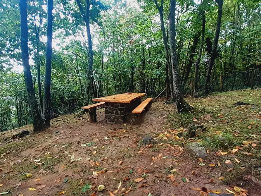 Immagine 41 di Rustico / casale in vendita  a Massa E Cozzile