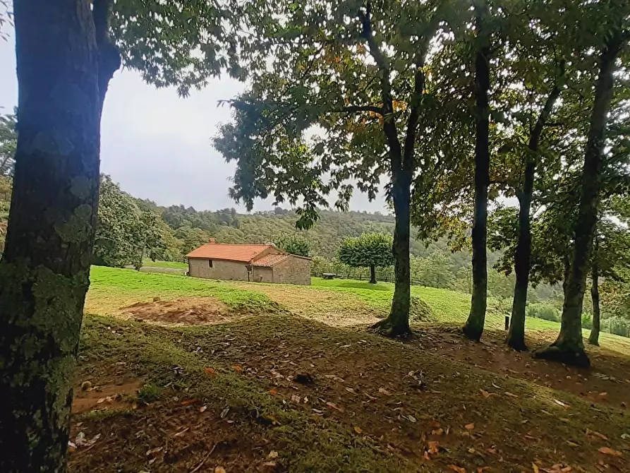 Immagine 47 di Rustico / casale in vendita  a Massa E Cozzile