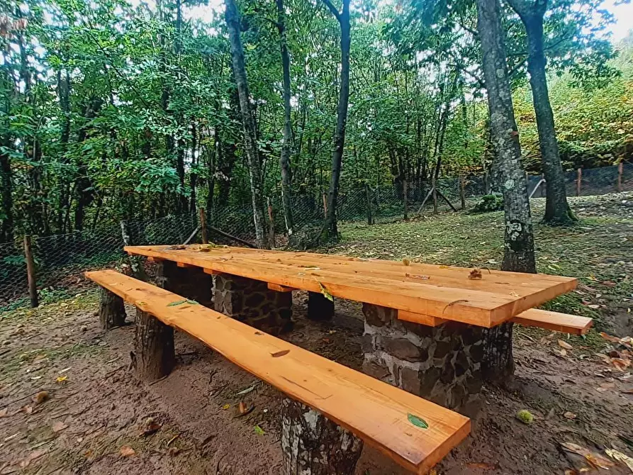 Immagine 43 di Rustico / casale in vendita  a Massa E Cozzile