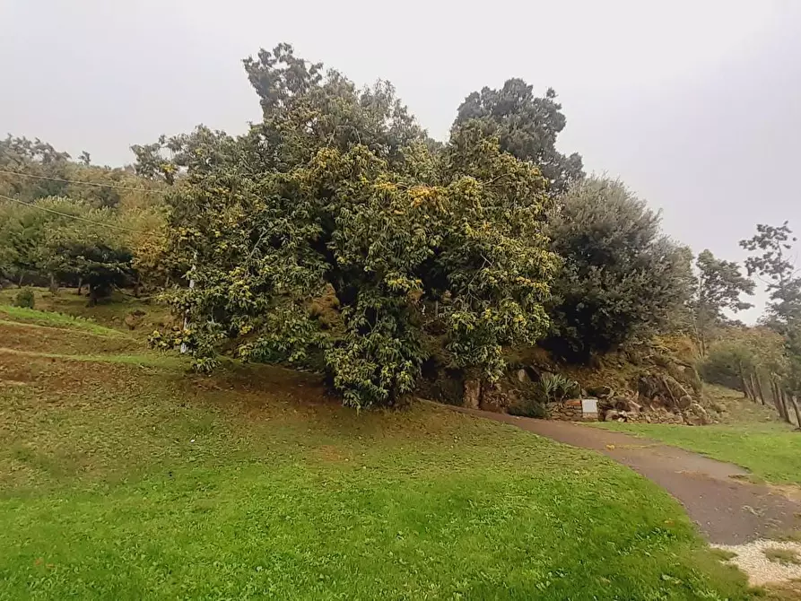 Immagine 32 di Rustico / casale in vendita  a Massa E Cozzile