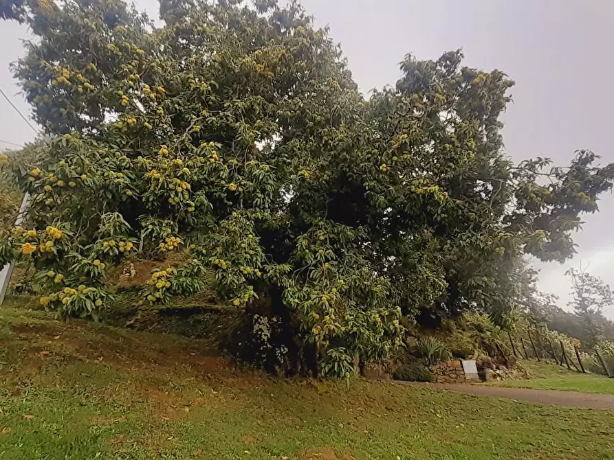 Immagine 34 di Rustico / casale in vendita  a Massa E Cozzile