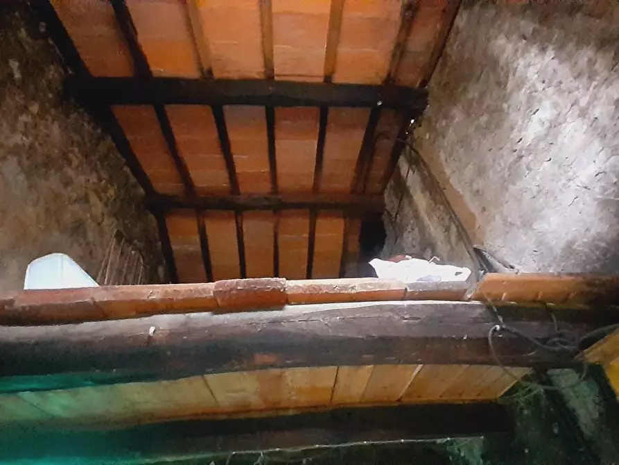 Immagine 36 di Rustico / casale in vendita  a Massa E Cozzile