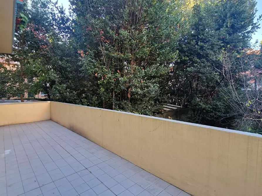 Immagine 26 di Appartamento in affitto  a Pisa