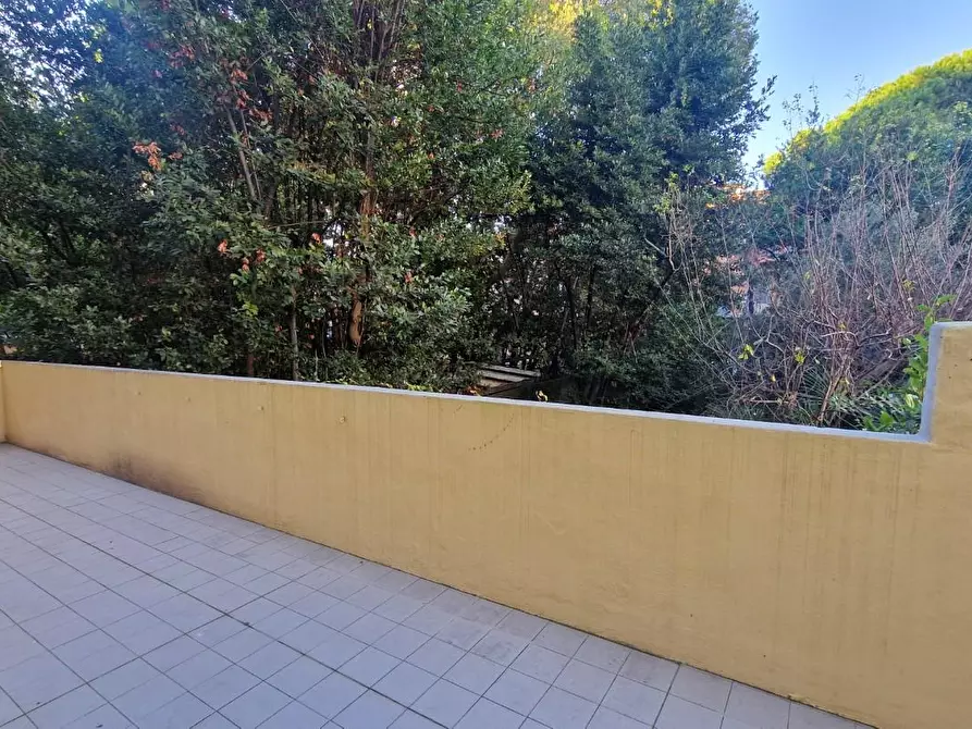 Immagine 27 di Appartamento in affitto  a Pisa