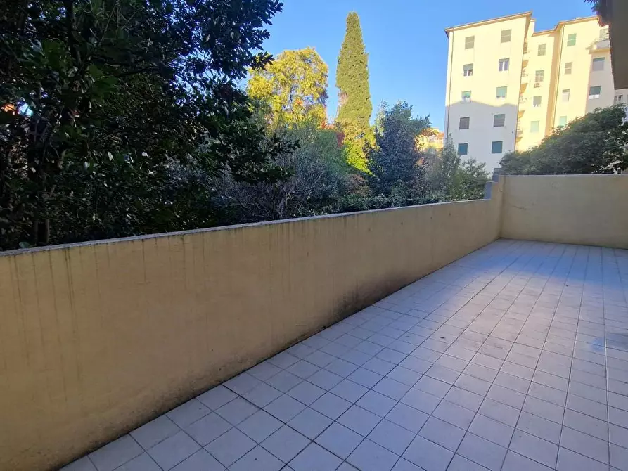 Immagine 24 di Appartamento in affitto  a Pisa