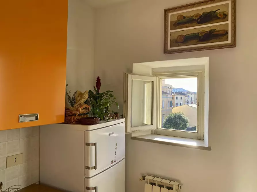 Immagine 4 di Appartamento in vendita  a Livorno