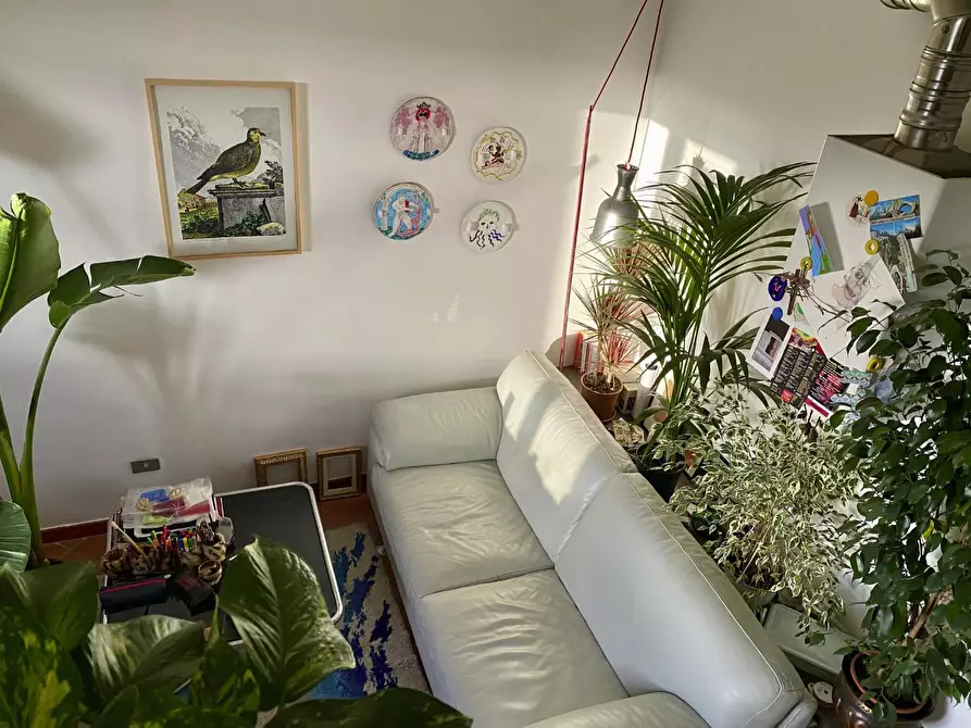 Immagine 2 di Appartamento in vendita  a Livorno