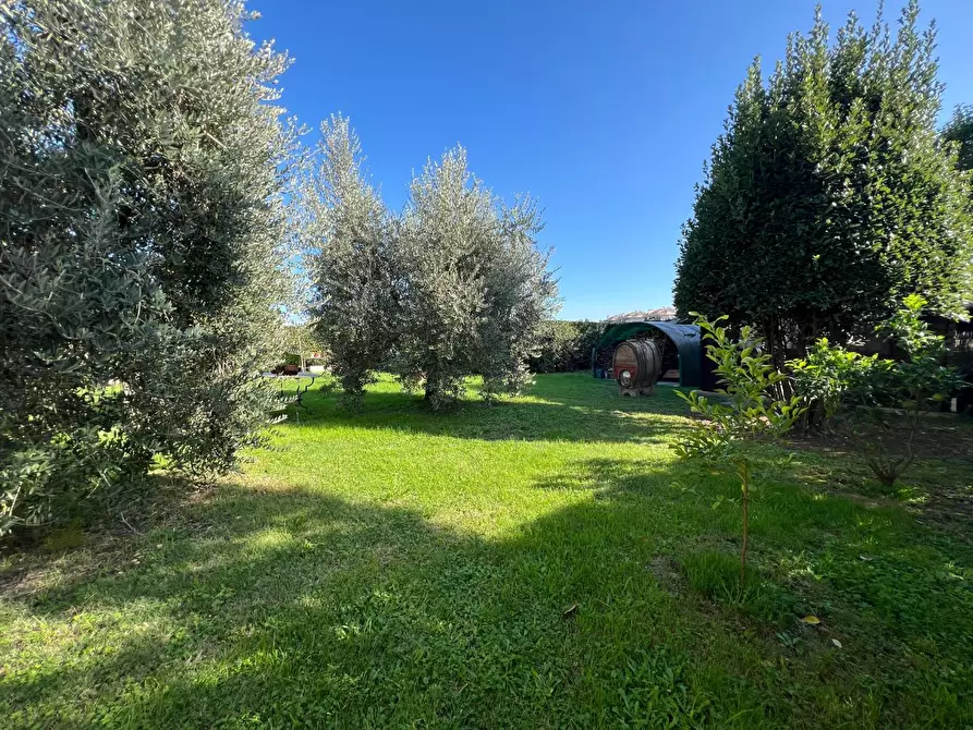 Immagine 11 di Villa in vendita  a Empoli