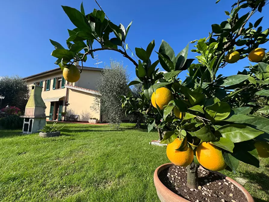 Immagine 4 di Villa in vendita  a Empoli