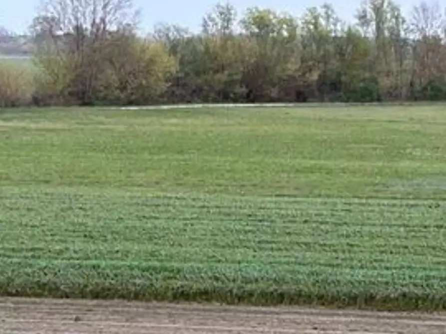 Immagine 1 di Terreno agricolo in vendita  a Massa