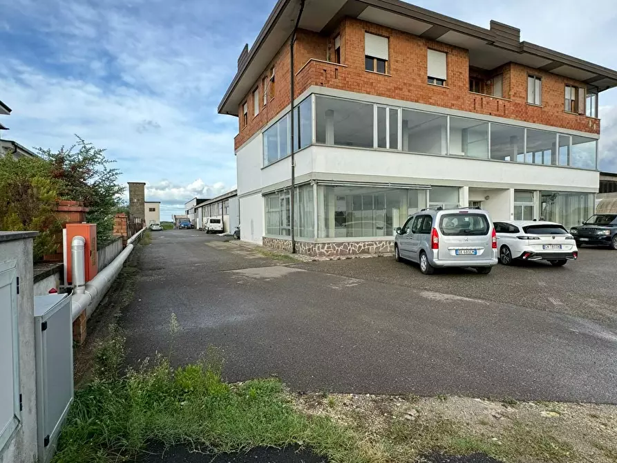 Immagine 3 di Capannone industriale in vendita  a Crespina Lorenzana