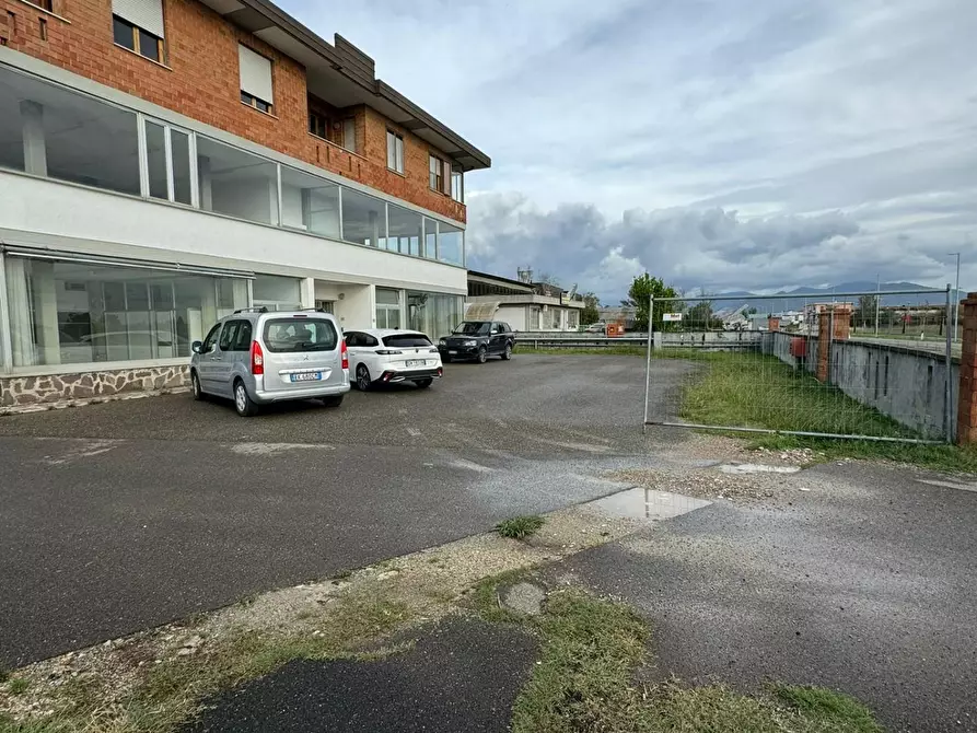 Immagine 4 di Capannone industriale in vendita  a Crespina Lorenzana