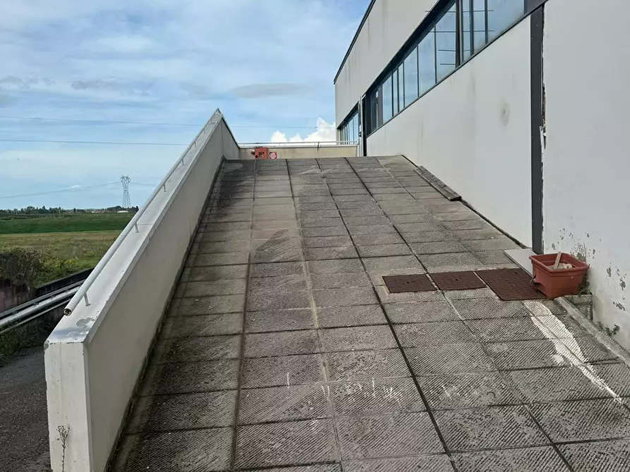 Immagine 17 di Capannone industriale in vendita  a Crespina Lorenzana