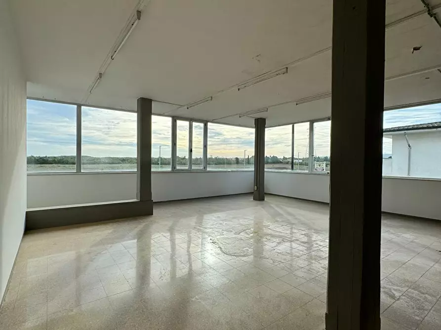 Immagine 6 di Capannone industriale in vendita  a Crespina Lorenzana