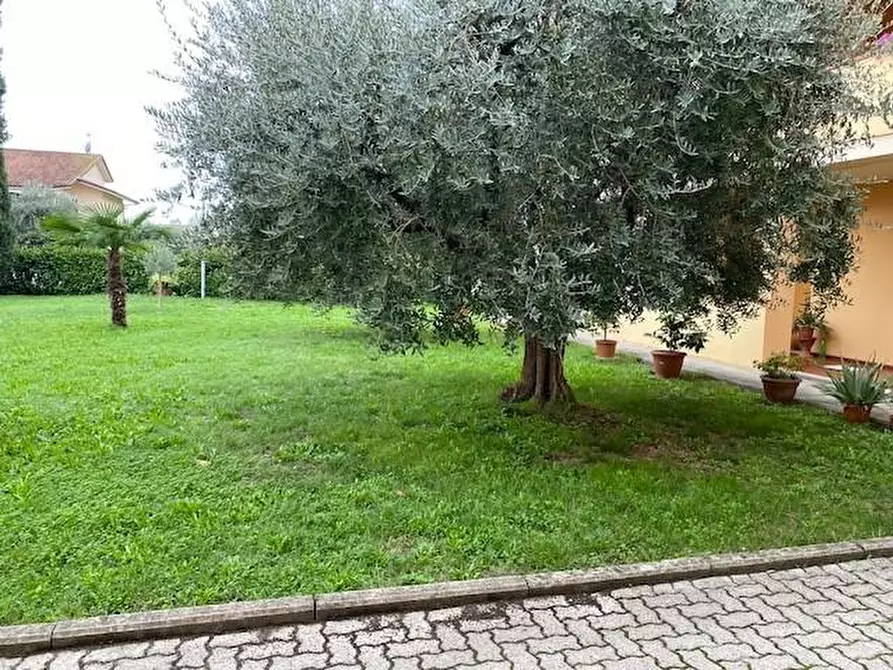 Immagine 1 di Appartamento in vendita  a Buggiano