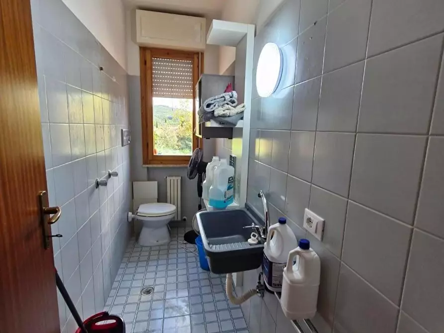 Immagine 19 di Appartamento in vendita  a Campiglia Marittima