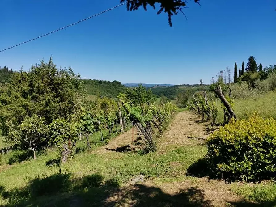 Immagine 1 di Terreno agricolo in vendita  a Poggibonsi