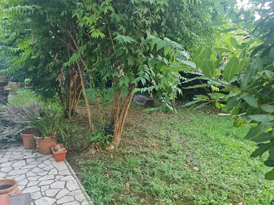 Immagine 24 di Villa in vendita  a Carrara