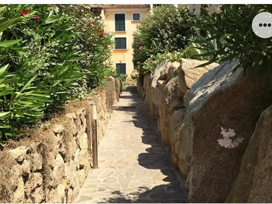 Immagine 15 di Appartamento in affitto  a Santa Teresa Gallura