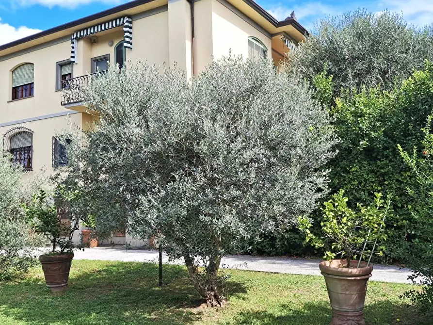 Immagine 18 di Villa in vendita  a San Giuliano Terme