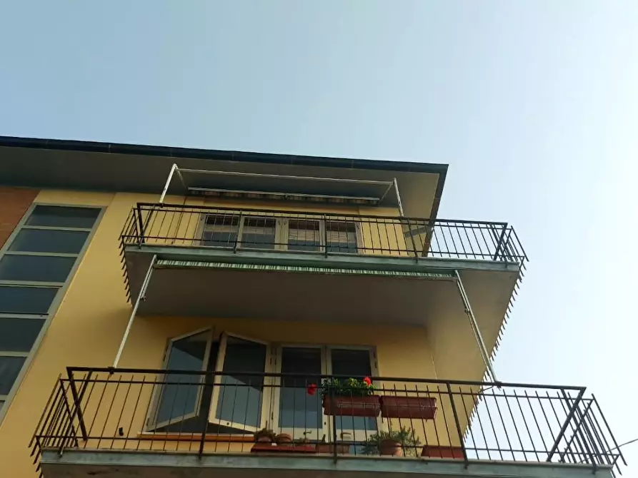 Immagine 31 di Appartamento in vendita  a Castellina Marittima