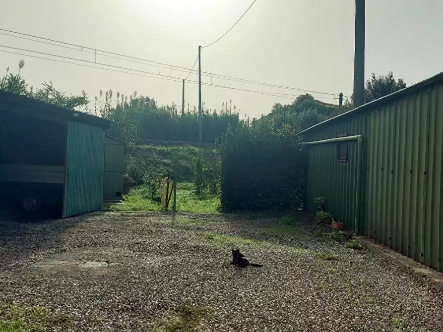 Immagine 35 di Appartamento in vendita  a Castellina Marittima