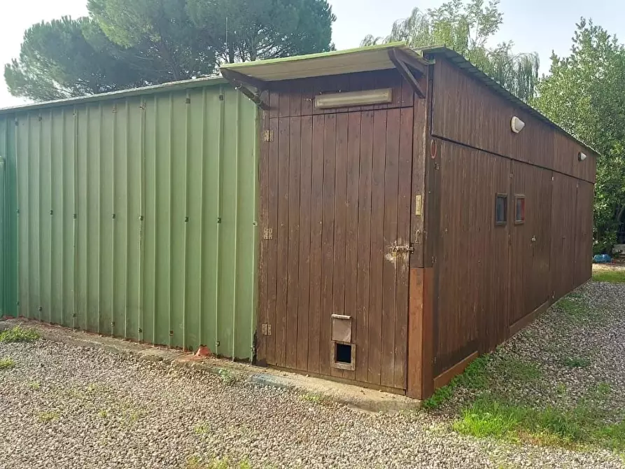 Immagine 32 di Appartamento in vendita  a Castellina Marittima