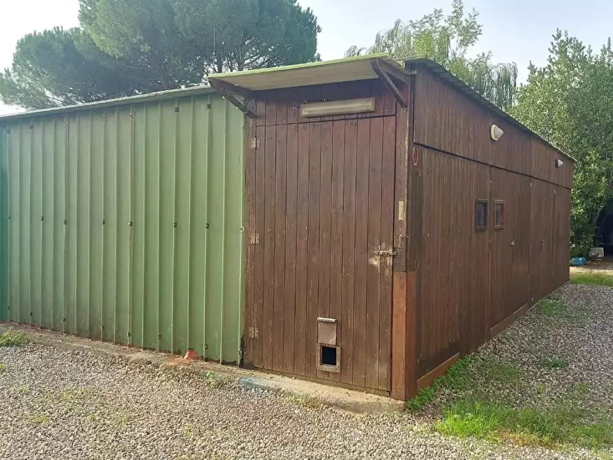 Immagine 34 di Appartamento in vendita  a Castellina Marittima