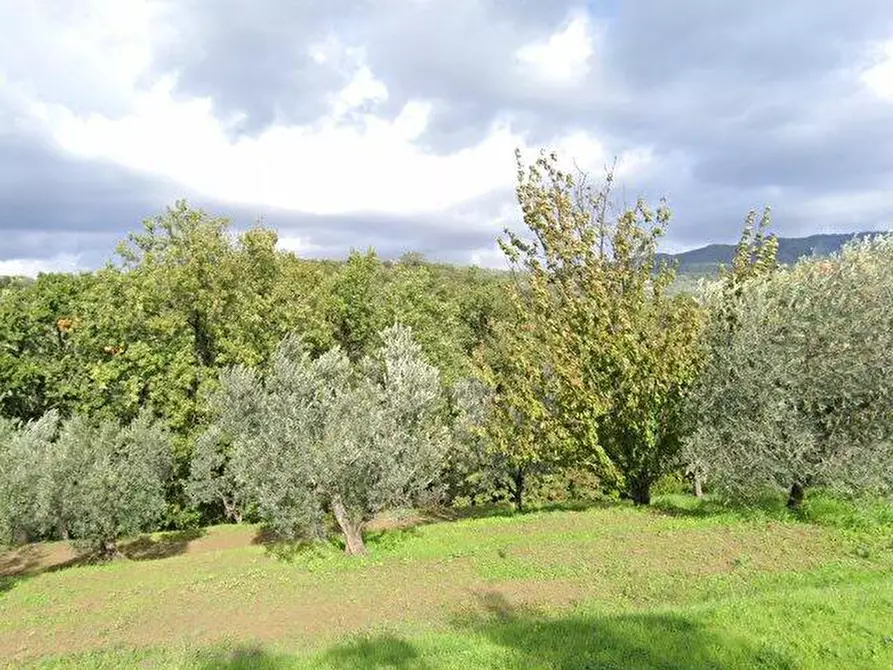 Immagine 1 di Terreno agricolo in vendita  a Vinci