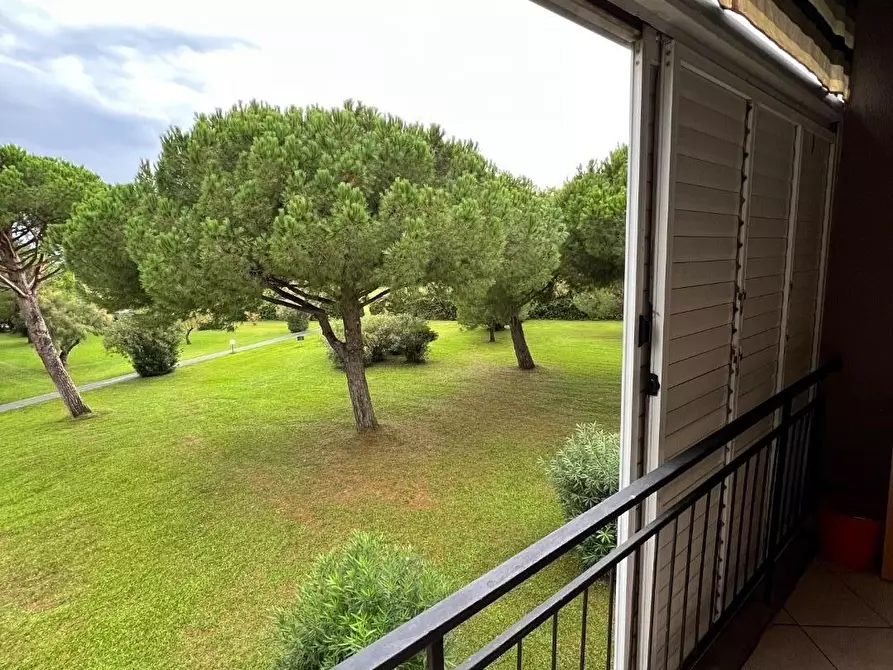 Immagine 10 di Appartamento in vendita  a Bibbona