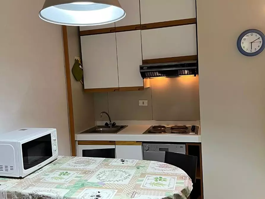 Immagine 5 di Appartamento in vendita  a Bibbona