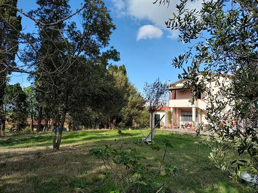 Immagine 1 di Casa colonica in vendita  a Fauglia