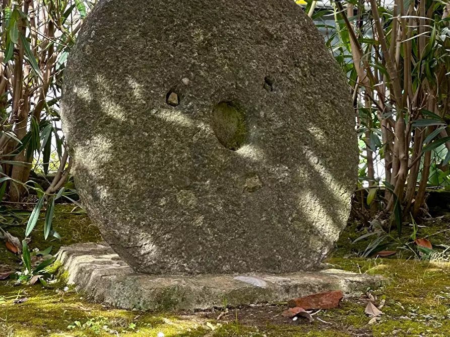 Immagine 71 di Villa in vendita  a Chianni